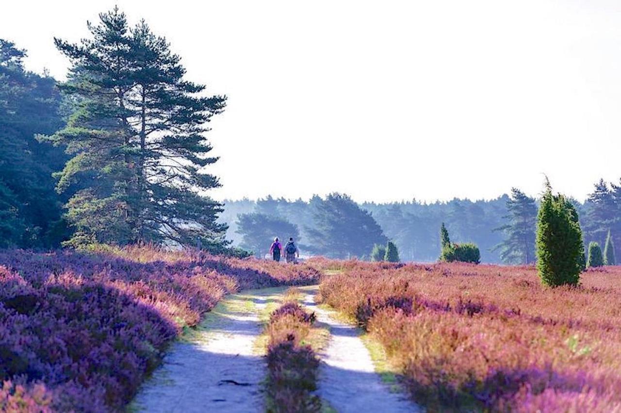 Ferienhaus Luneburger Heide Eschede Kültér fotó