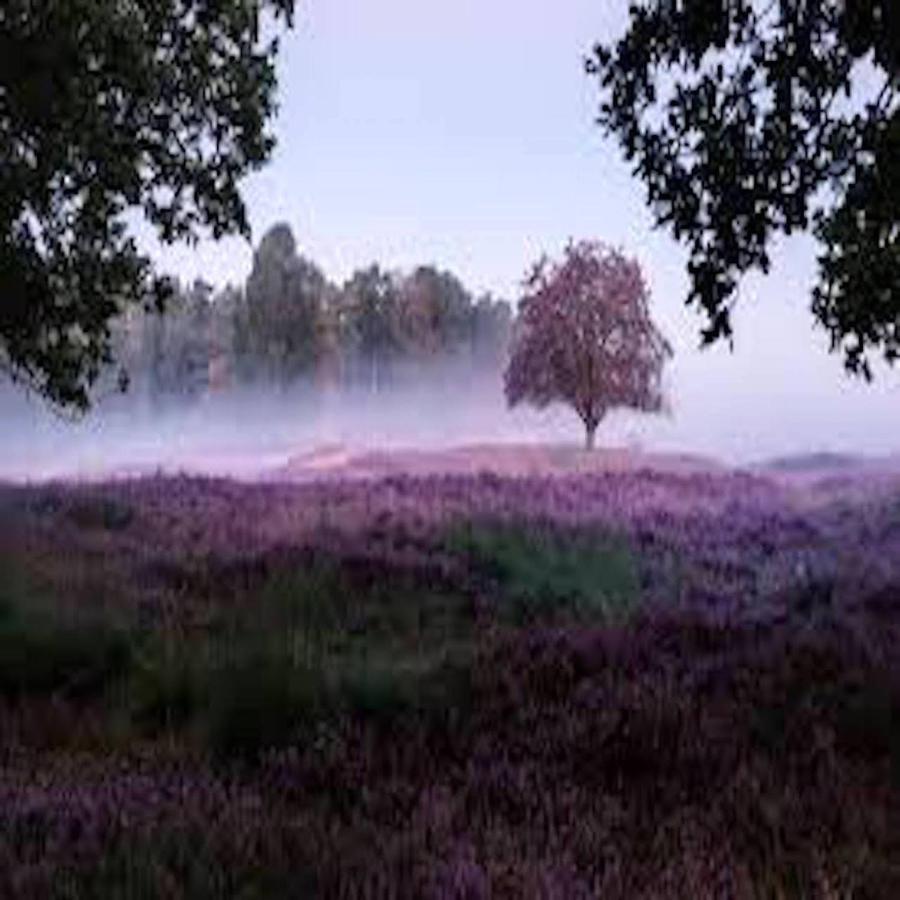 Ferienhaus Luneburger Heide Eschede Kültér fotó