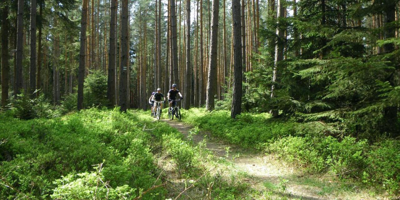 Ferienhaus Luneburger Heide Eschede Kültér fotó